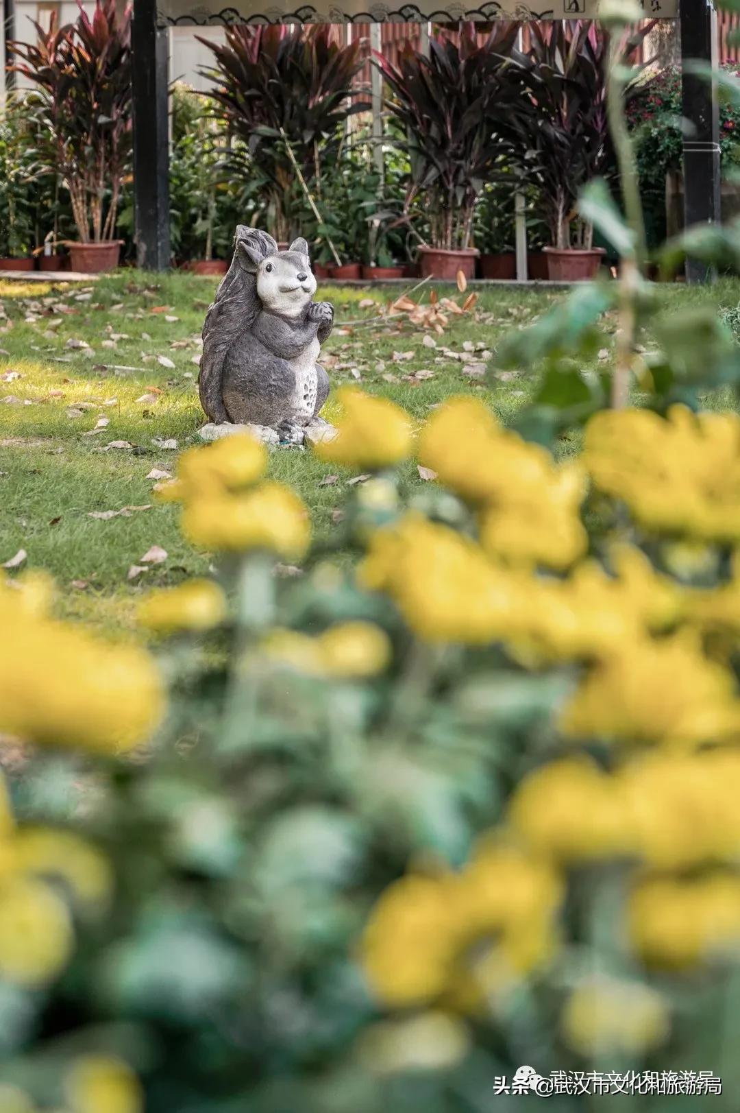 武汉秋天的第一场音乐节,武汉秋天第一场音乐节