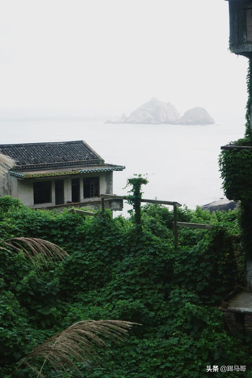 海南东极岛自由行攻略 (嵊泗列岛东极岛枸杞岛哪个值得去)