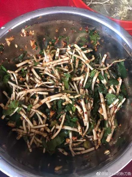 贵州美食折耳根味道,贵州折耳根麻辣味好吃还是烤肉味
