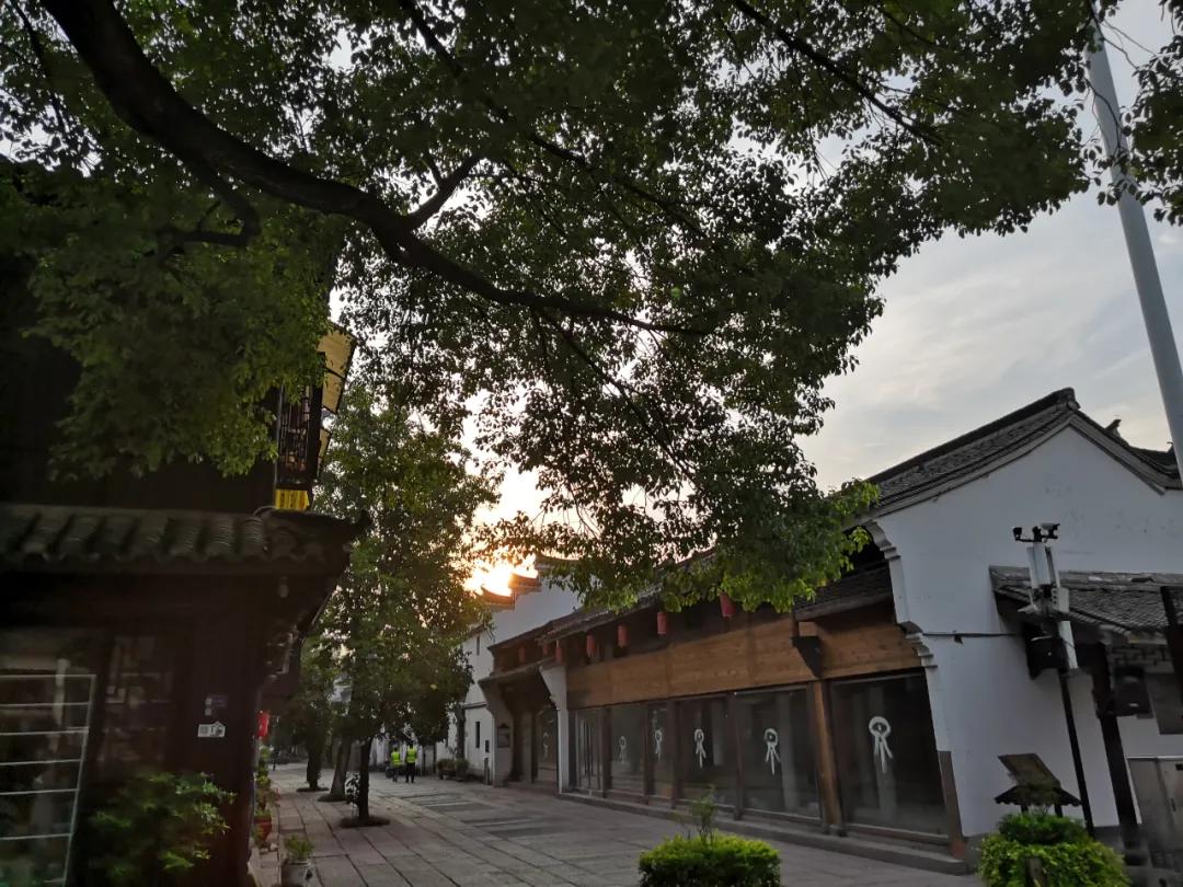 李清照的身世,李清照一半烟云一半情