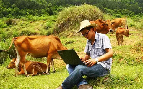 农村大学生就业现状,现在大学生回农村有发展前途吗