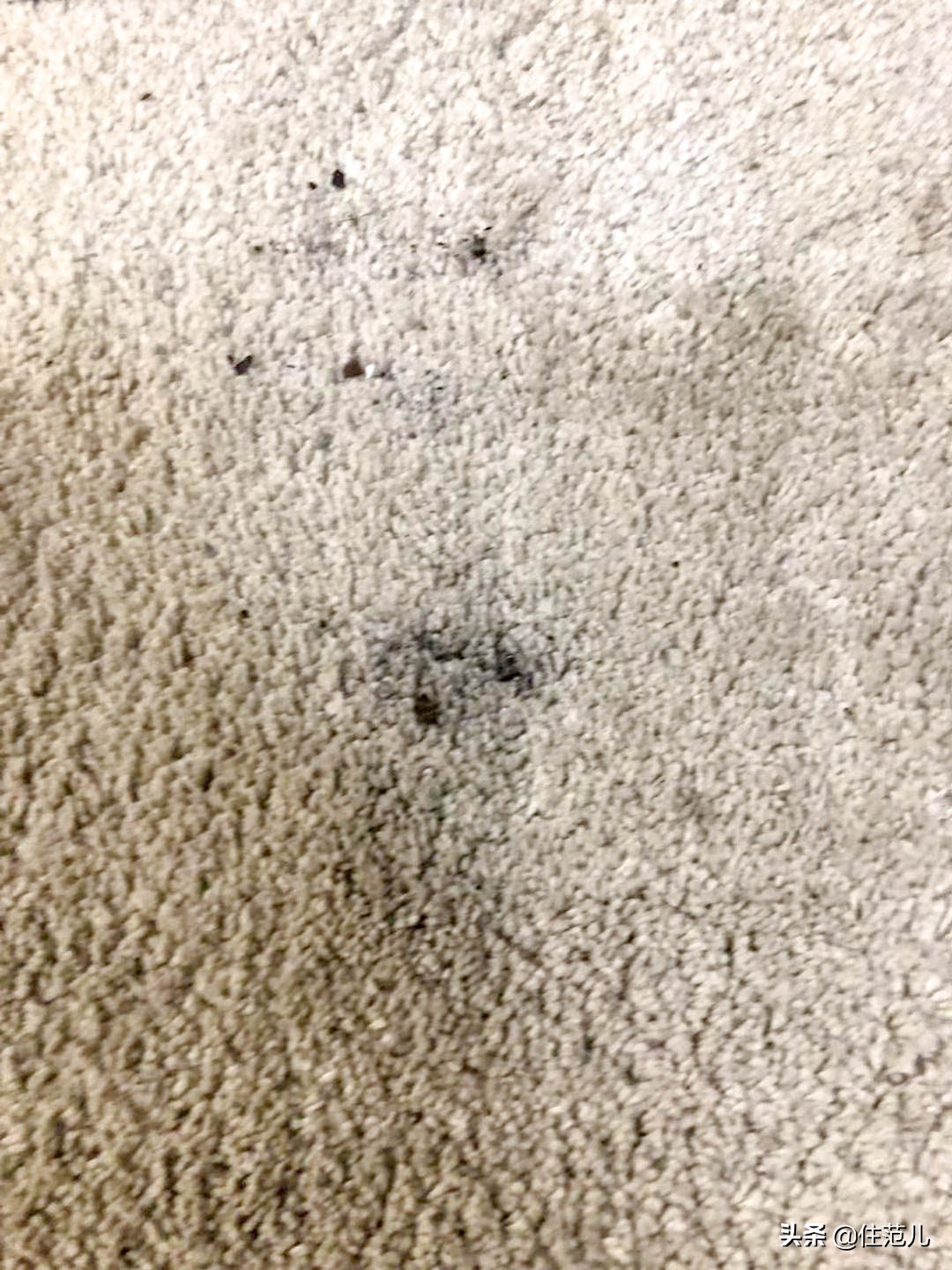 网红爆款戴森吹风机,戴森真的有用吗