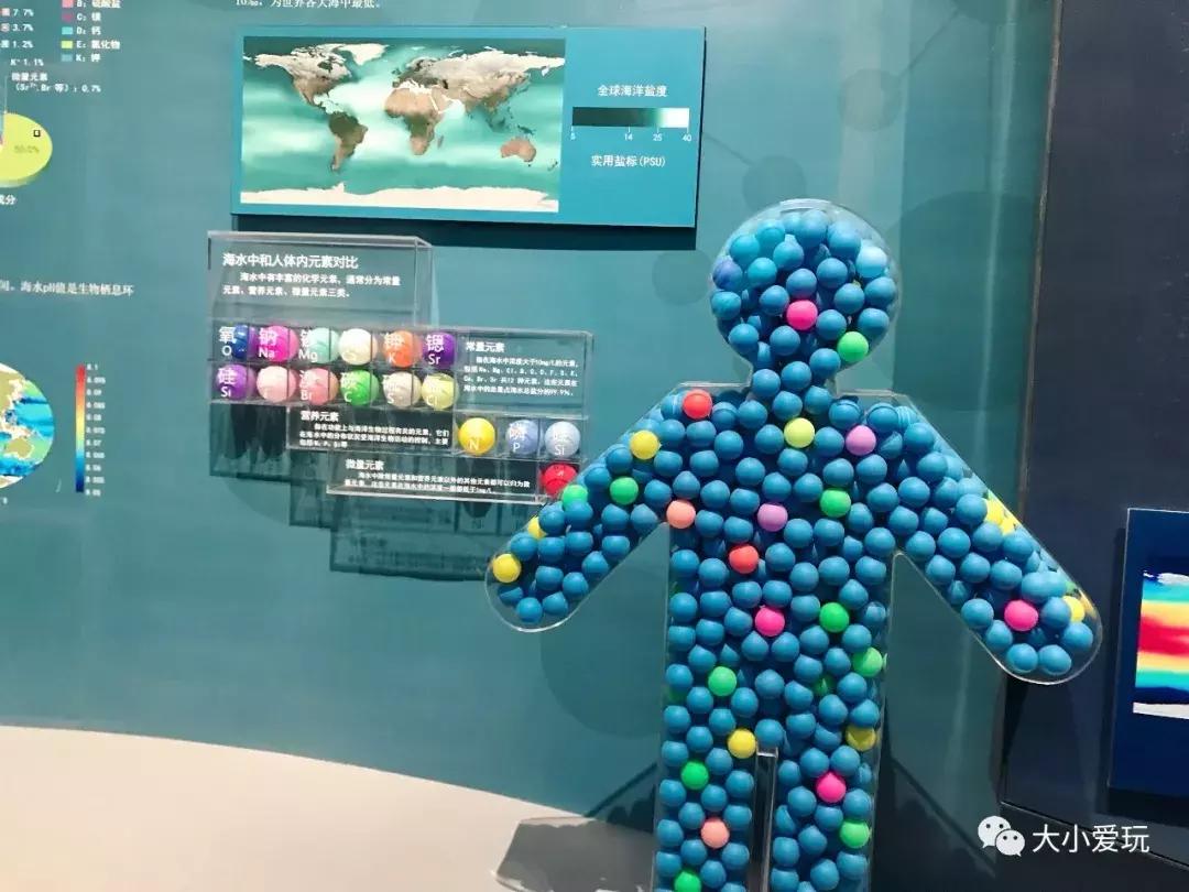 开放首日实探国家海洋博物馆，史上最抢手博物馆究竟长什么样