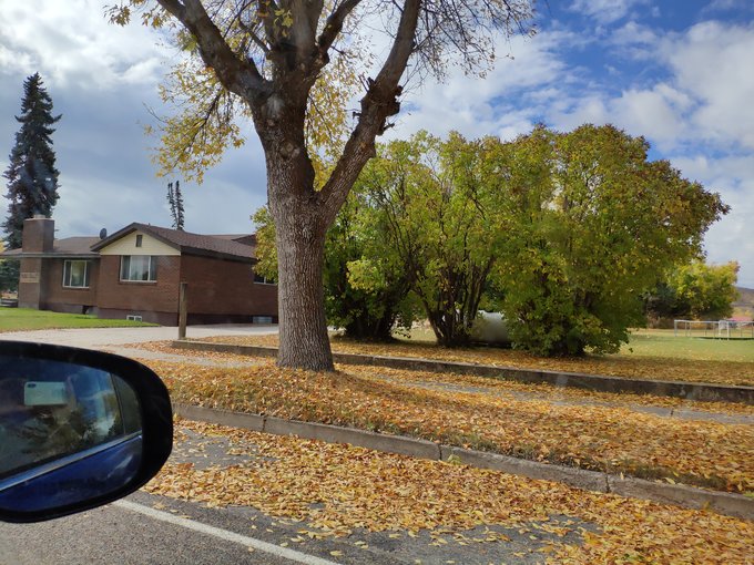 西雅图到旧金山自驾游,西雅图到墨西哥旅游路线攻略