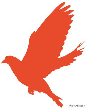 小司说法法律知识,小司说法最新消息