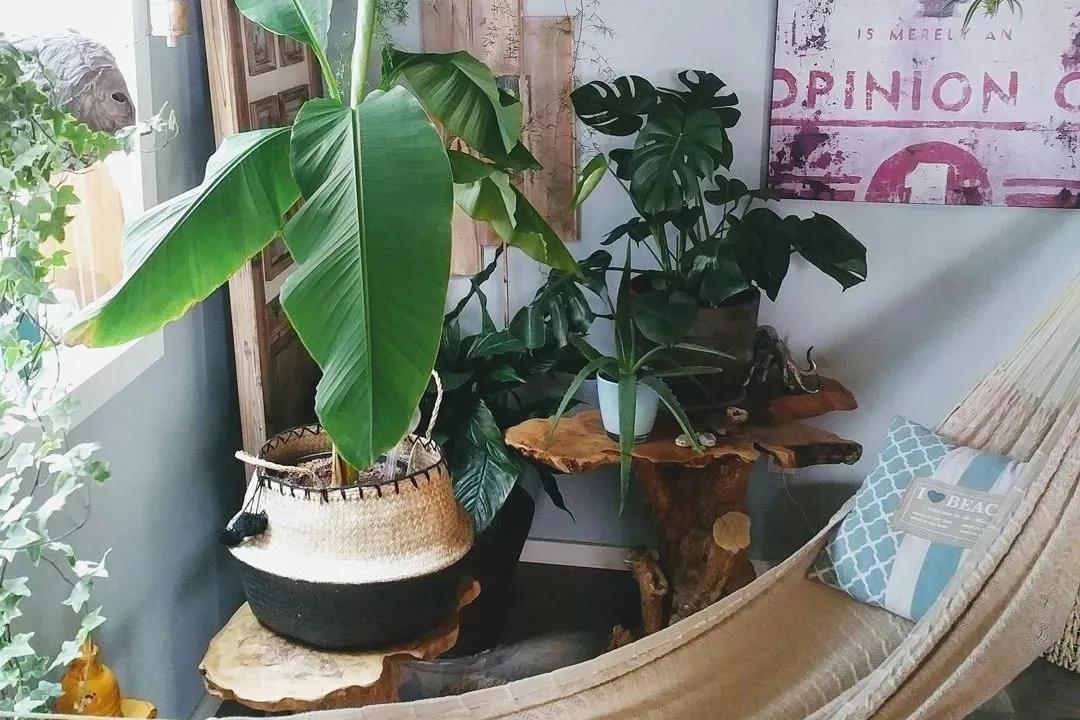 小房间吊床怎么布置,吊床怎么装饰才简单