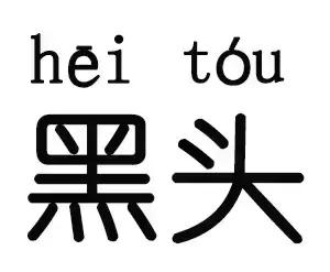 脸上黑头多的要命,脸上的黑头是什么样的