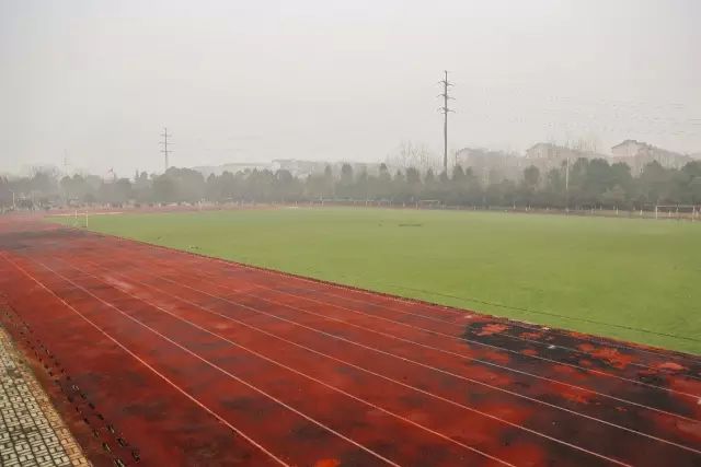 藏龙岛学校排名,藏龙岛的大学