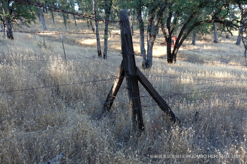 第3034回：无风雨不知花可惜，无患难不知人可谋