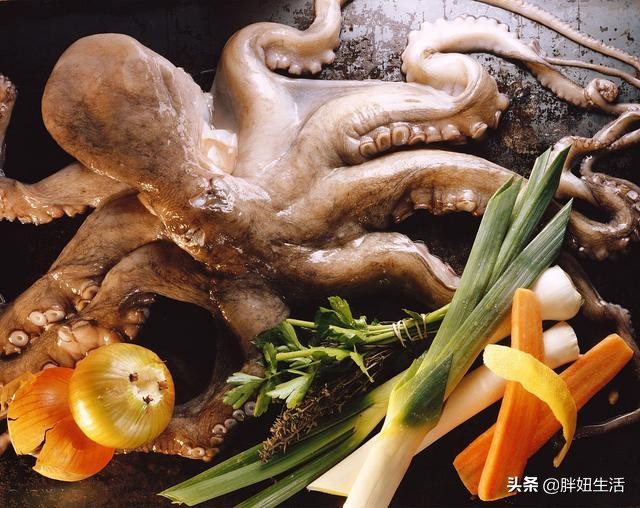 章鱼墨鱼鱿鱼该怎么分清呢,章鱼墨鱼鱿鱼的区别科普