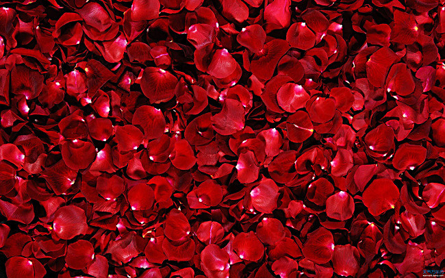 独辟蹊径的生意,独辟蹊径2020