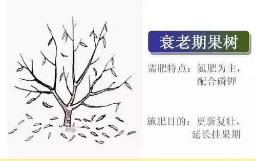 判断植物必需营养元素的标准是,植物生长必需的三种营养元素