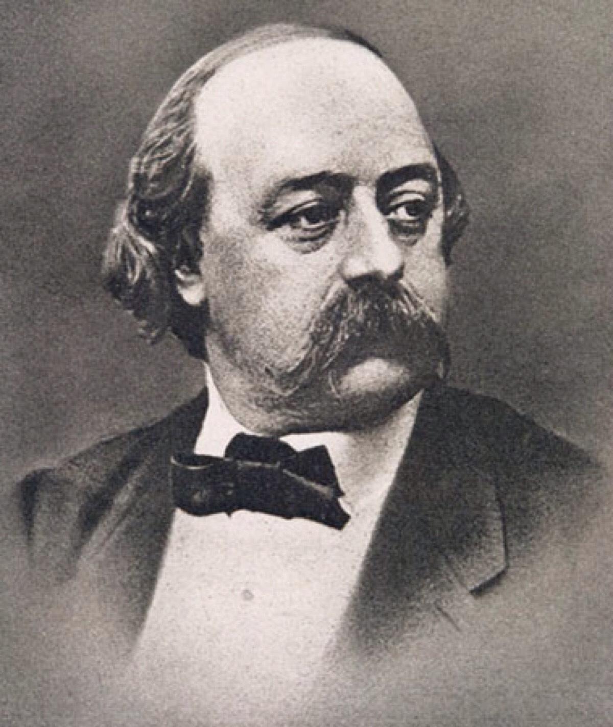 包法利夫人是讽刺文学吗,包法利夫人经典文学