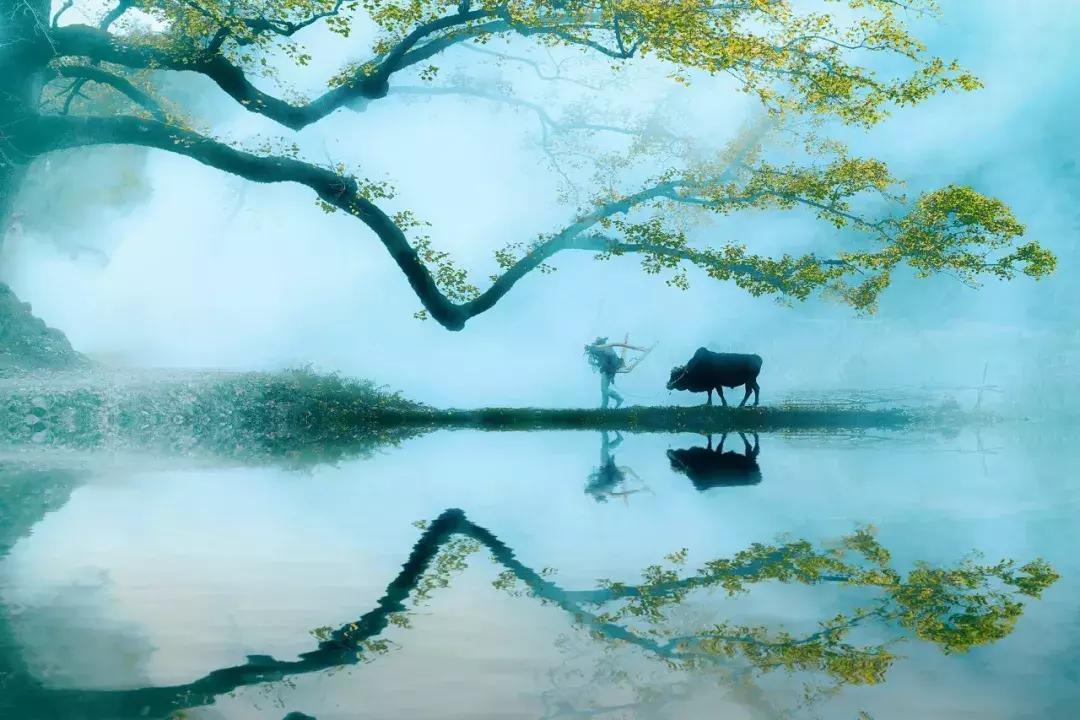 山水田园诗的诗情画意,古诗中的山水田园诗句有哪些