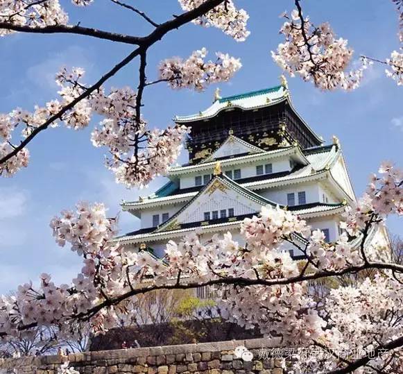 日本社区商业,日本社区商业业态