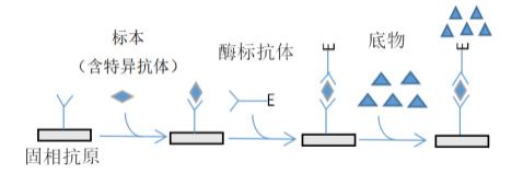 自己如何检测新型冠状病毒,新型冠状病毒最有效的检测方法