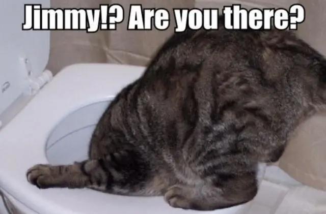 areyoutherealready什么意思,areyouthere该怎么回答