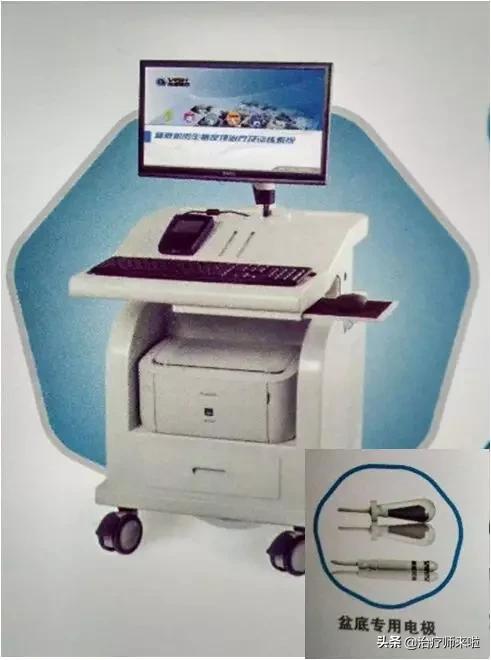 盆底功能障碍的康复——评估与治疗