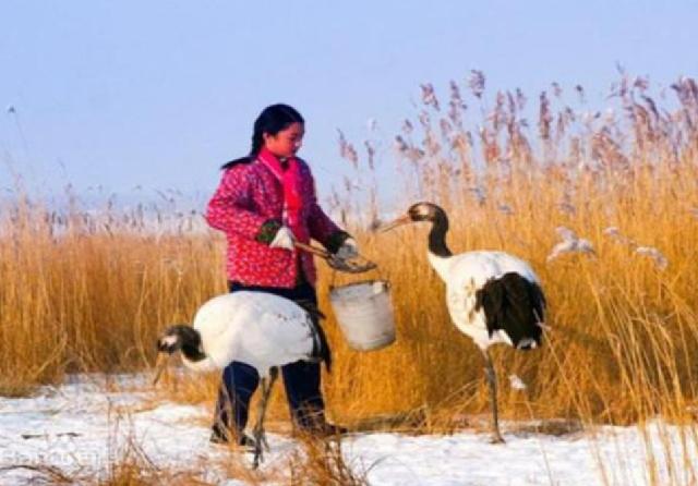 她是第一位在保护战线殉职的烈士，弟弟接班后，43岁时不幸牺牲