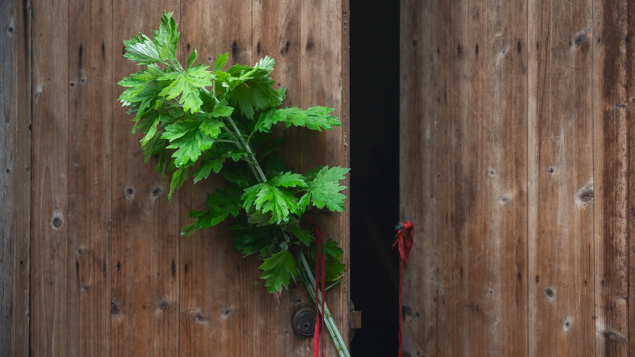 你以为韩国抢了中国的端午节？虽然只有一字之差，但却差之千里