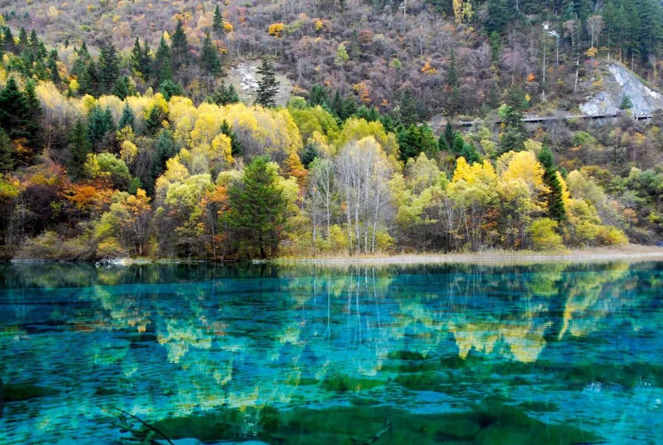 重庆,成都外围自助游后感悟CDBB98