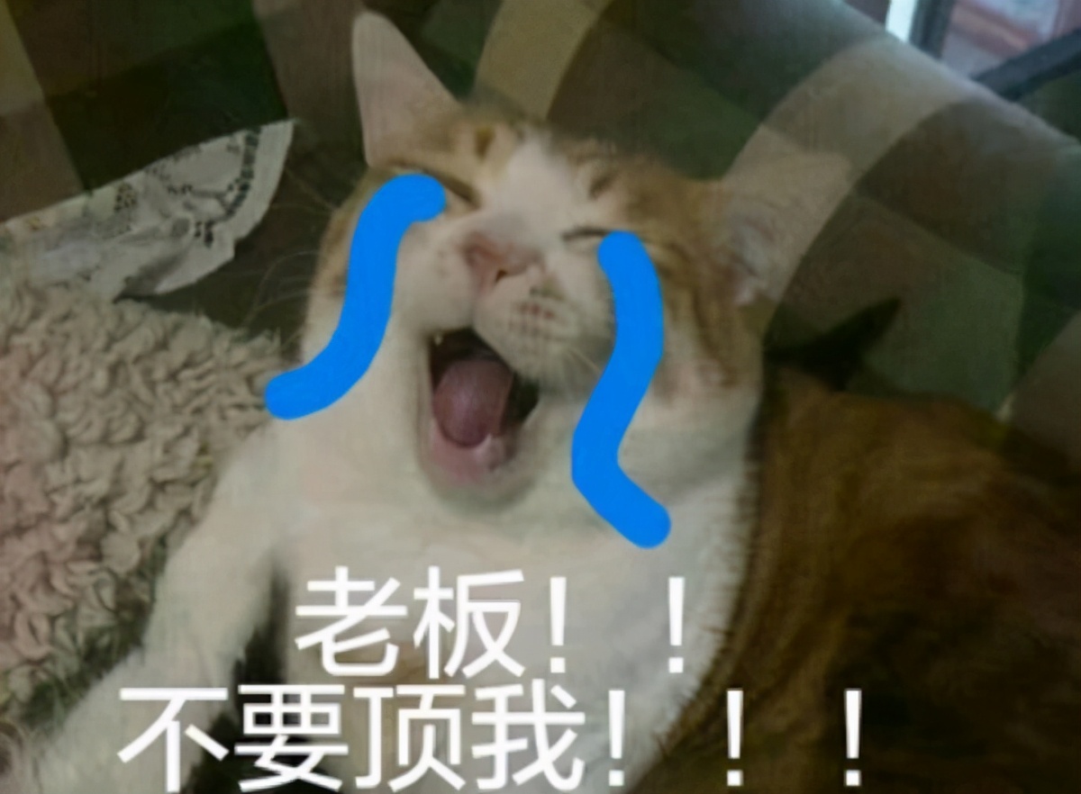 逆水寒代练工作,逆水寒代练一周全托