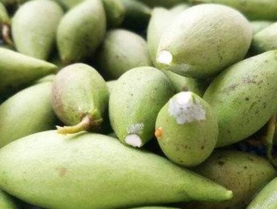 野山地瓜价格多少钱一斤,柘城西瓜多少钱一斤