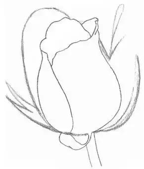 一幅素描玫瑰画如何加彩,玫瑰花束素描图片