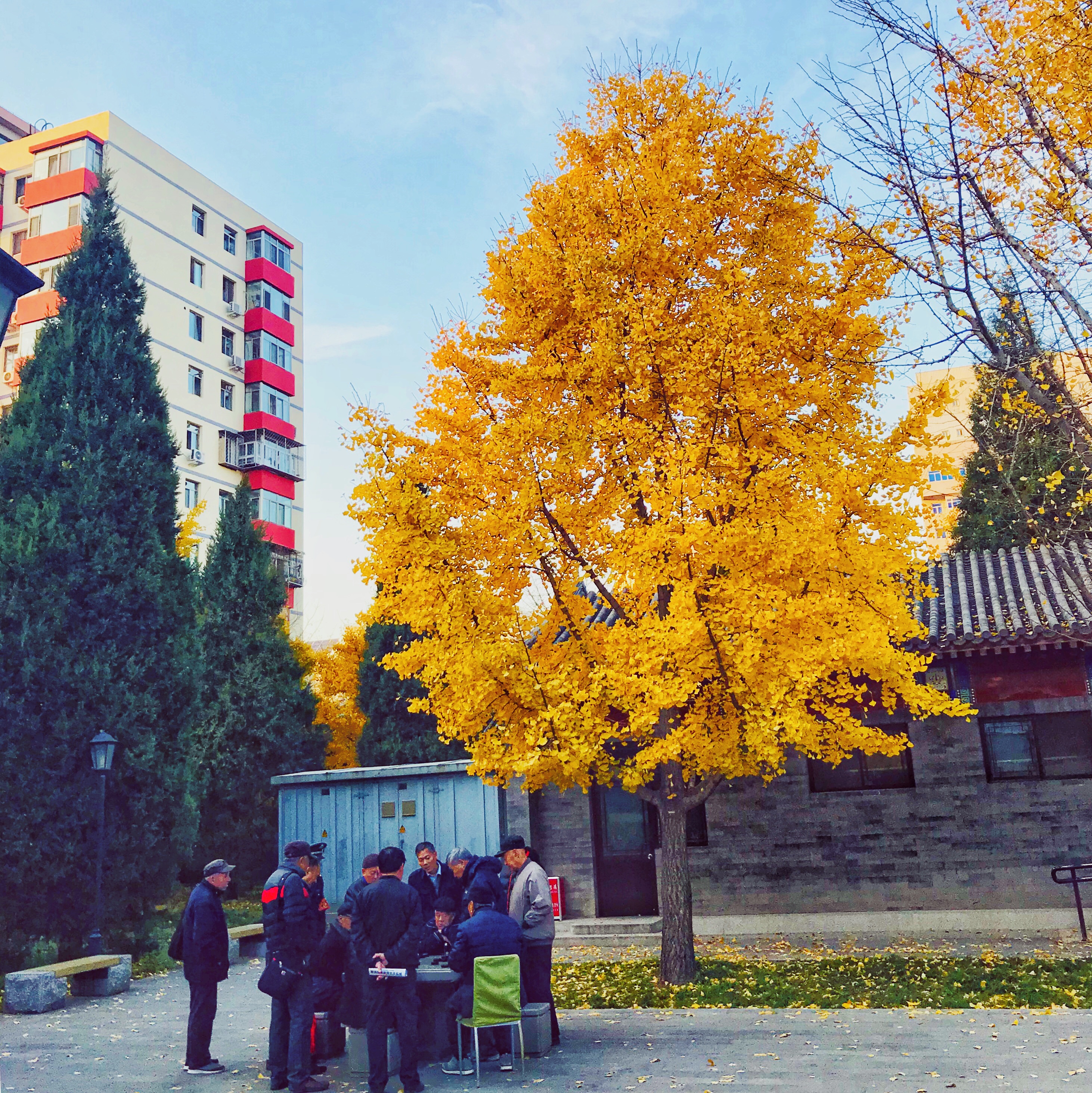 皓哥带你逛南京探店小达人,皓哥带你逛南京