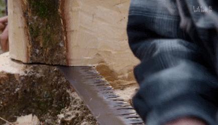 巴黎圣母院火灾重建后建筑怎样,巴黎圣母院火灾一周年