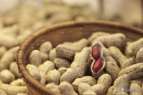 小作坊加工创业项目,小作坊生产什么赚钱见效