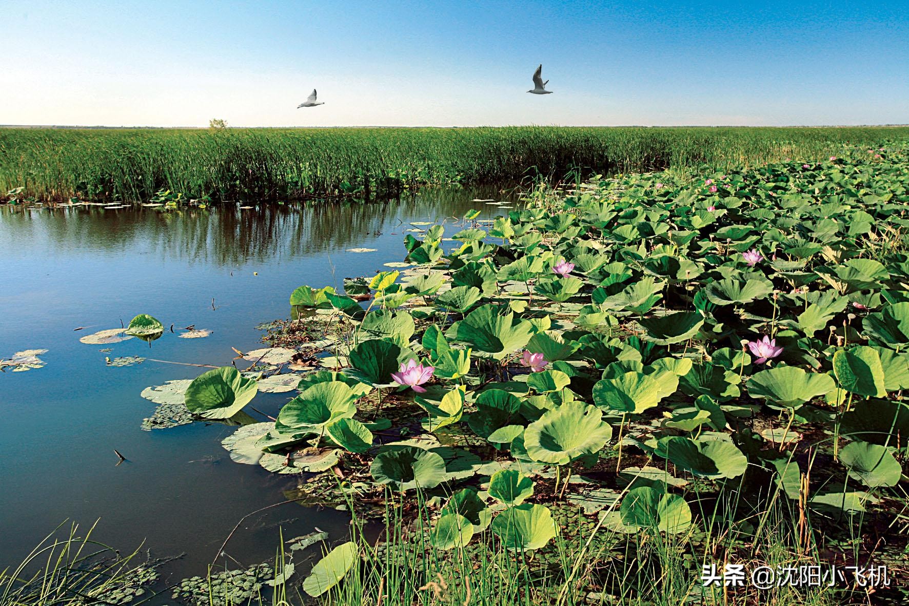 辽宁省康平县旅行攻略,辽宁沈阳康平天气