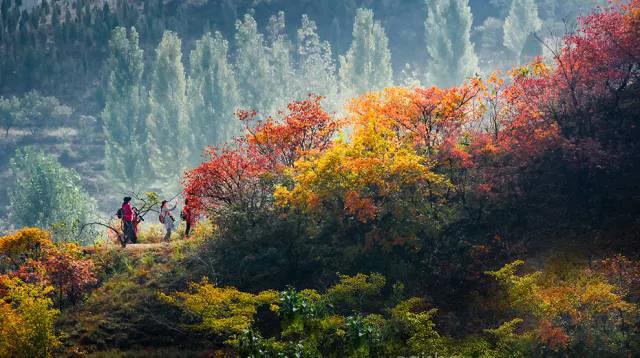 灵山秀水度深秋,灵山秀水堪称世外桃源