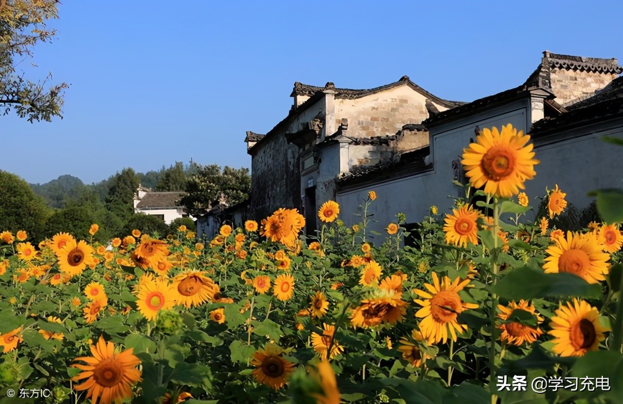 在安徽读大学，是一种怎样的体验？