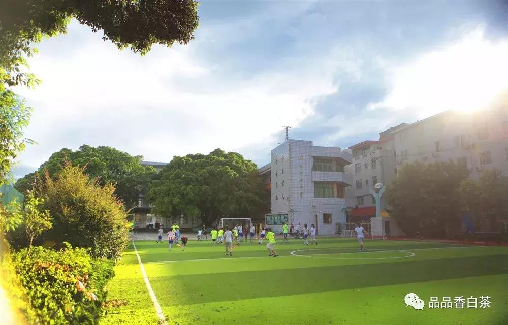 品品香有几个典藏,品品香是一线品牌吗