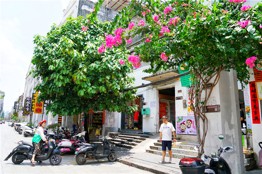 广西性价比好的海边城市,广西海边宜居的有哪些城市