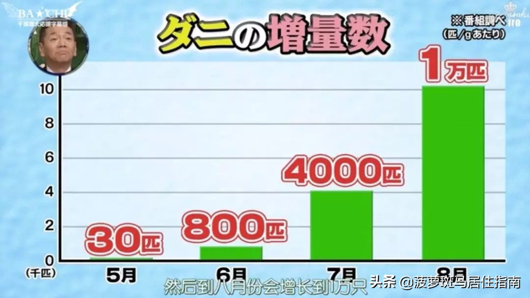 除螨仪只要一块钱有效去除螨虫,除螨神器让螨虫无处可逃