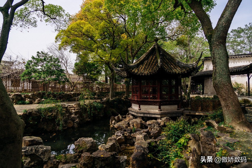 拙政园最让人欣赏的地方,拙政园十大特色