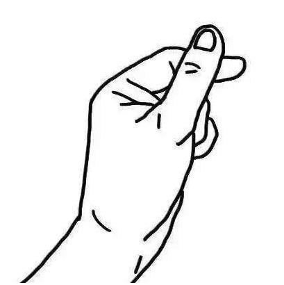 甜甜圈龟到底是什么龟种,养甜甜圈龟的正确方法