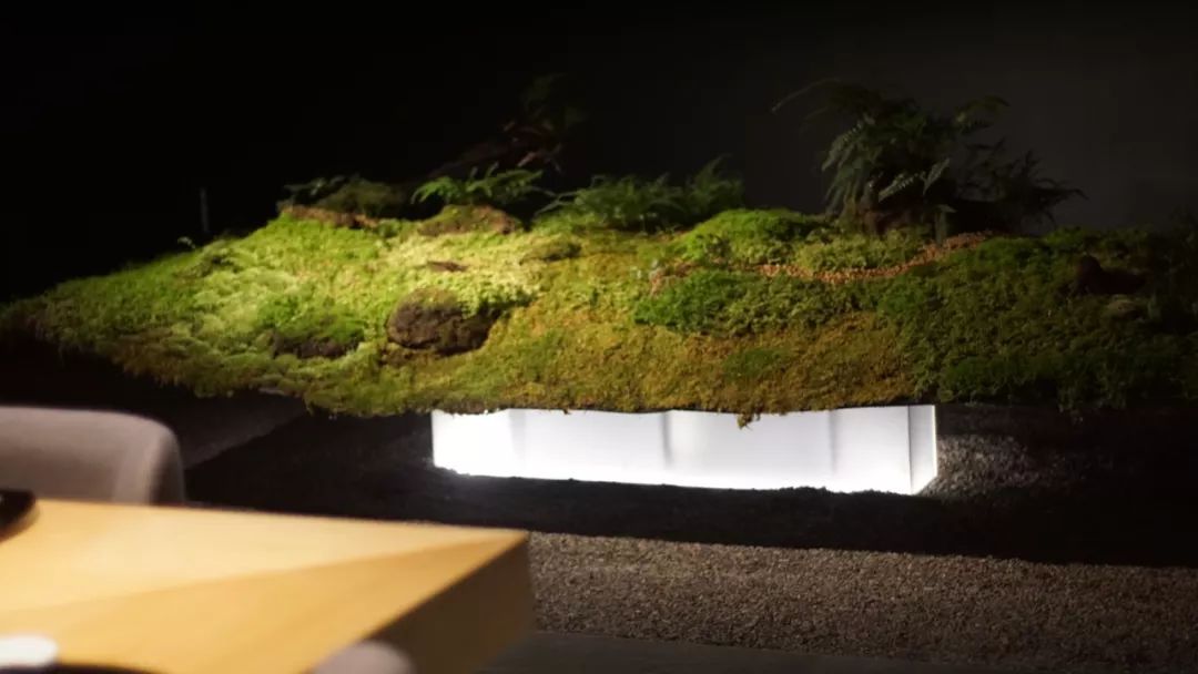 海错图爱情笔记写的是什么,海错图笔记中的错