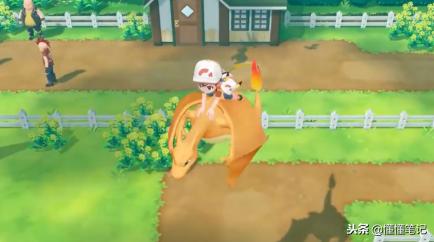 精灵宝可梦不为人知的秘密,精灵宝可梦的寿命有多长