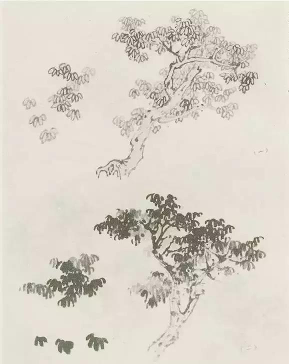 怎么画树最简单而且还最好看,怎么画树才更真实