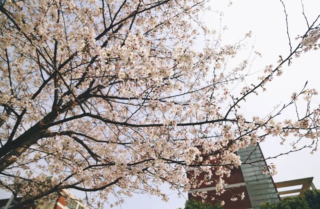 疫情防控典型选树工作会议,疫情防控典型经验与亮点做法