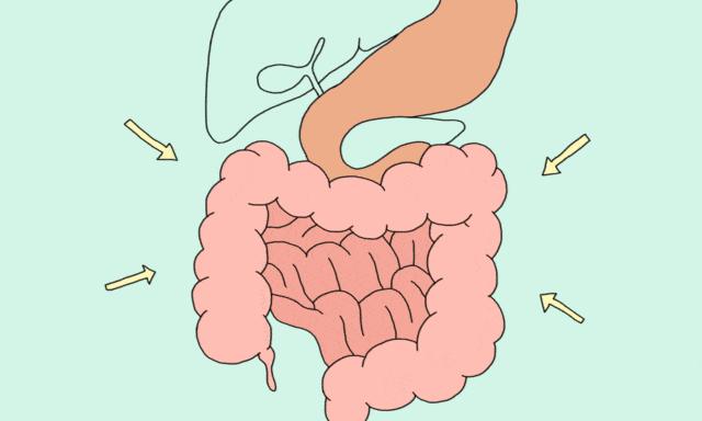 早安营口直播,早安营口最新版