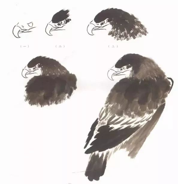 100种国画禽鸟画法,简单易学的禽鸟脚掌画法