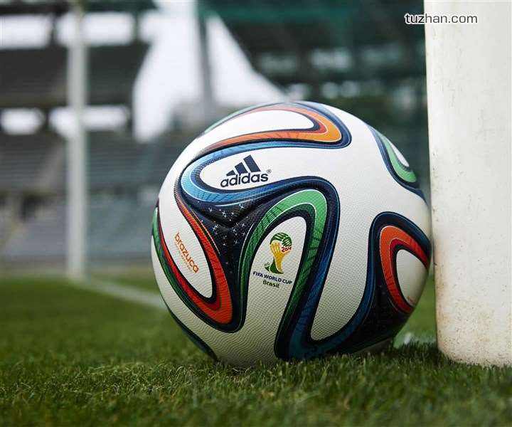 鲸鱼和海豚的小故事,鲸鱼和章鱼的故事一年级