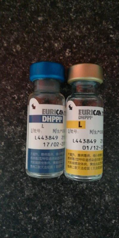 宠物医院给宠物打针需要证书吗,犬疫苗四联和八联的区别