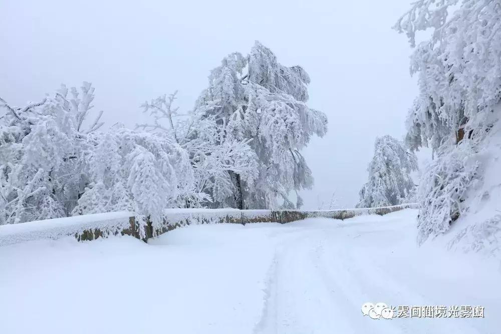 “色香味形”面面俱到!这样的南江你见过吗?