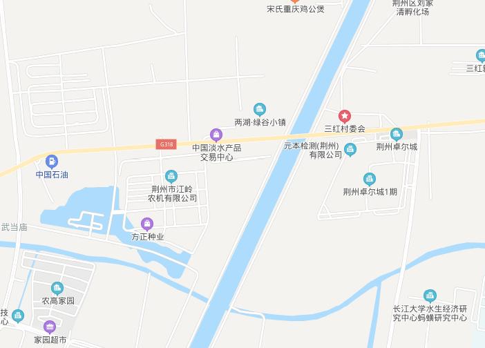 荆州农产品批发市场在哪个区,湖北荆州农产品市场