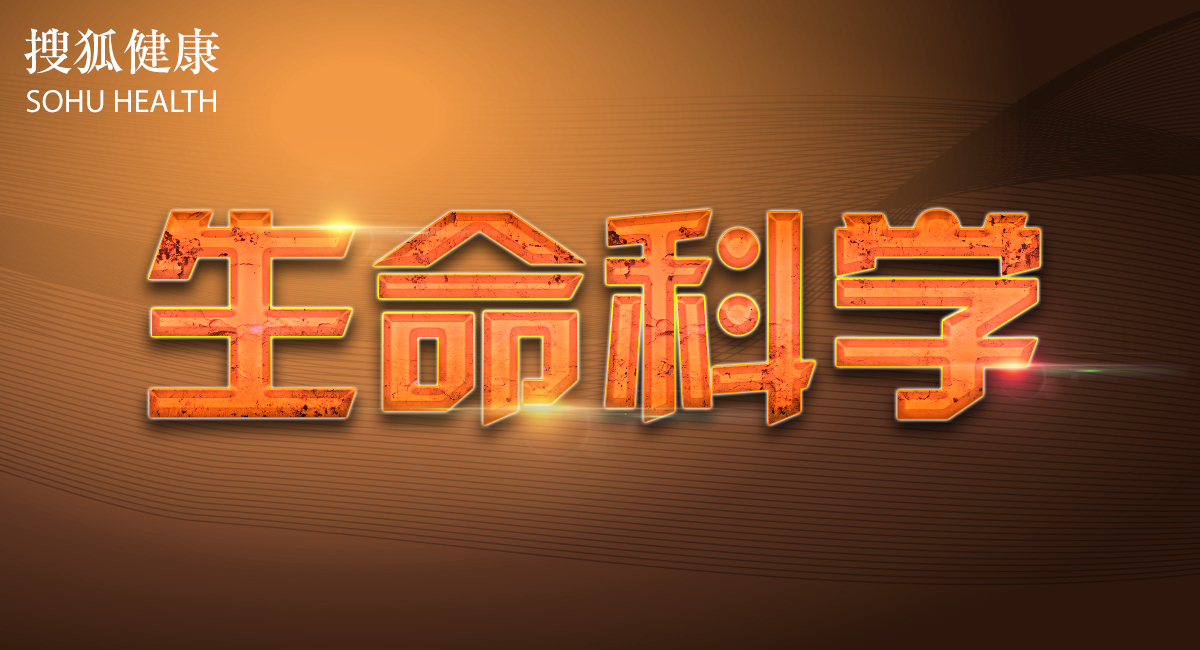 警惕减肥背后暗藏的危机,减肥一周后体重反弹